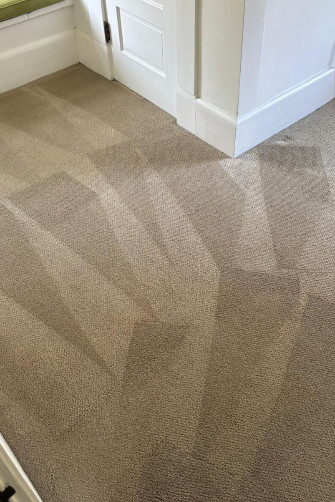 ZenWeave Rug Cleaners CC 1